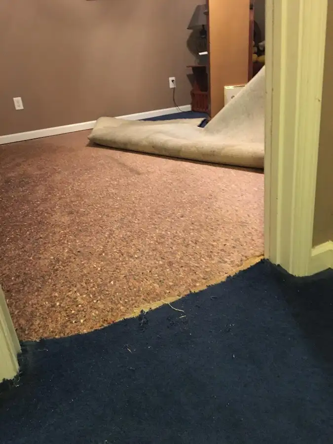 Carpet pad removal revealing water damage during Water Mitigation Services in Fairport