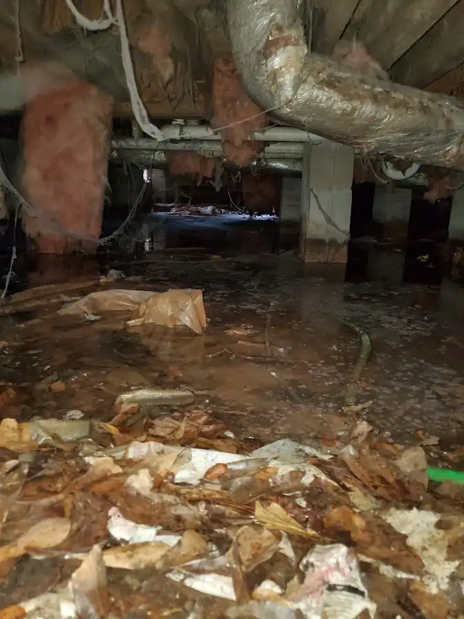 Crawl space flood assessment for Leak Detection & Repair in Fairport